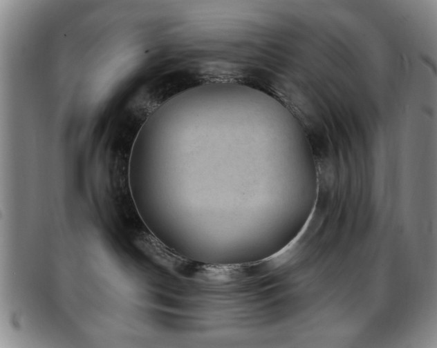 X0000097890190200803141341