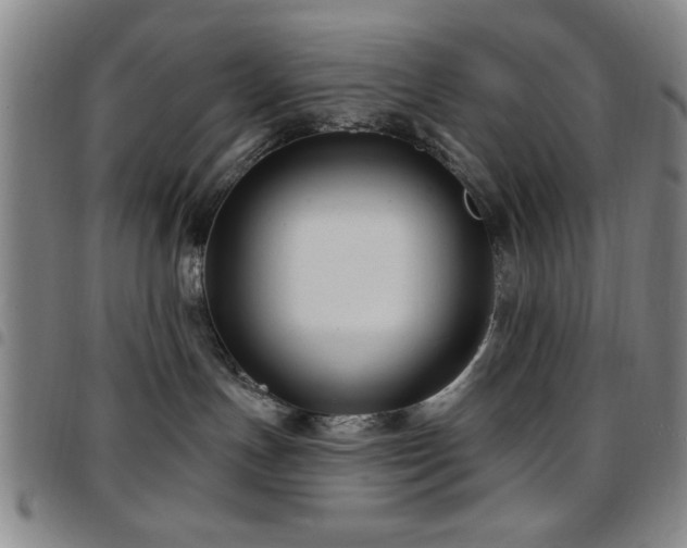 X0000097890191200803141341