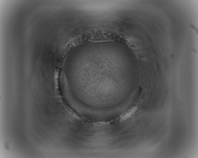 X0000097890192200803141341