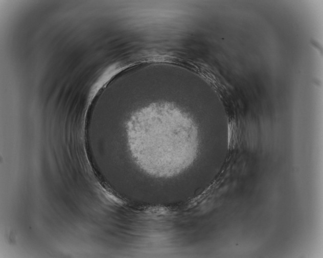 X0000097890195200803141340