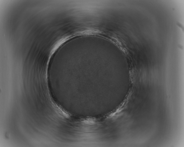 X0000097890196200803141340