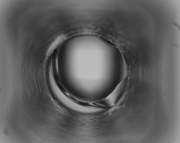 X0000097890197200803141340