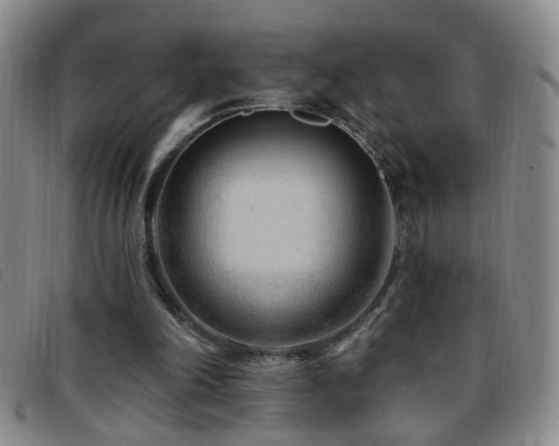 X0000097890198200803141340