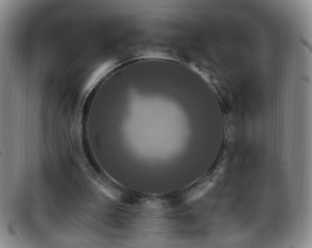 X0000097890199200803141340