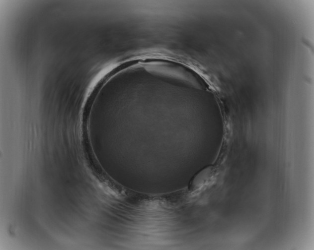 X0000097890200200803141340