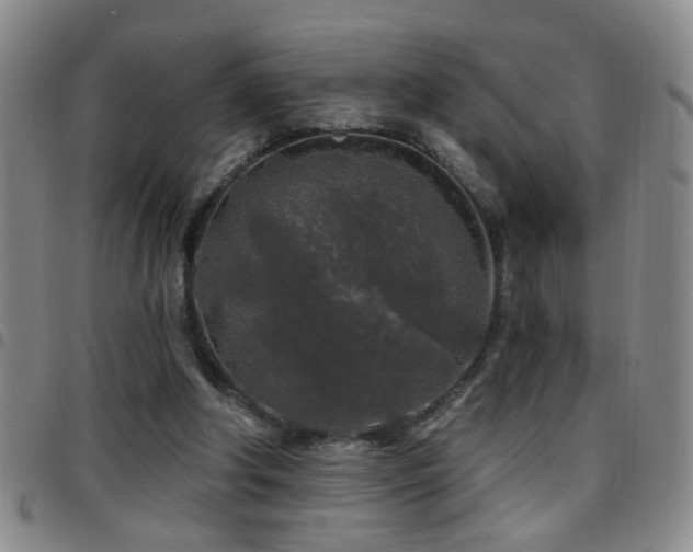 X0000097890202200803141340