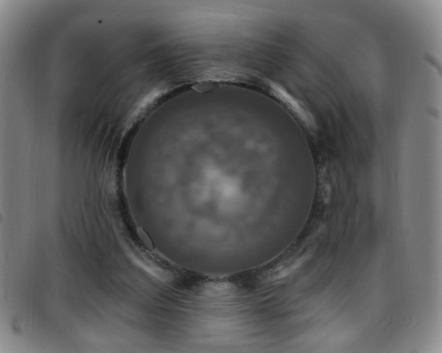 X0000097890203200803141340