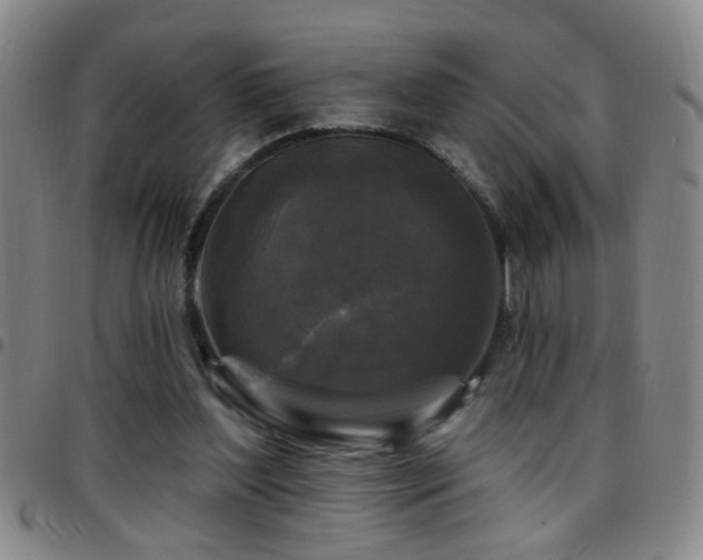 X0000097890204200803141340