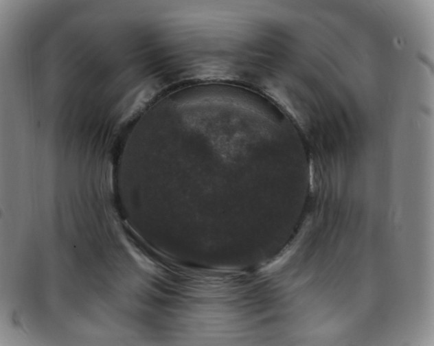 X0000097890205200803141340