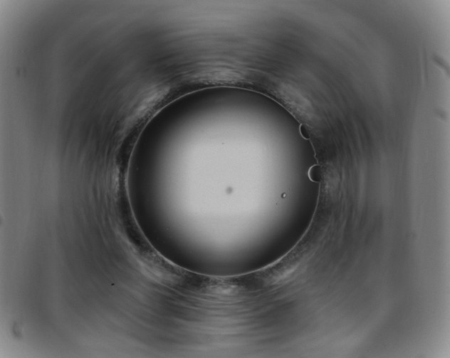 X0000097890206200803141340