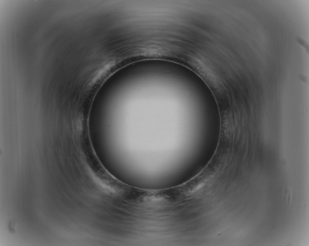 X0000097890208200803141340