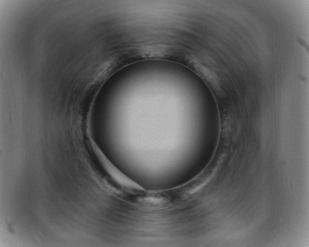 X0000097890209200803141340