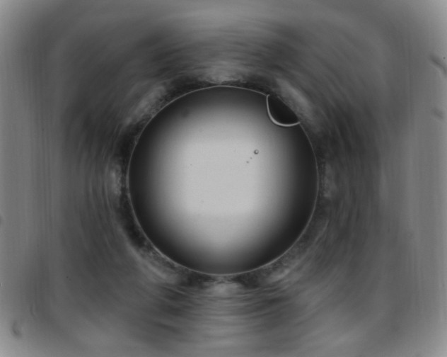 X0000097890210200803141340