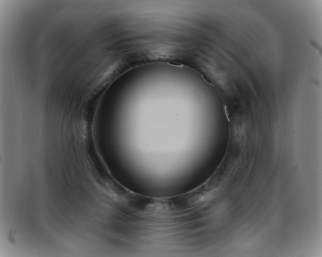 X0000097890211200803141340