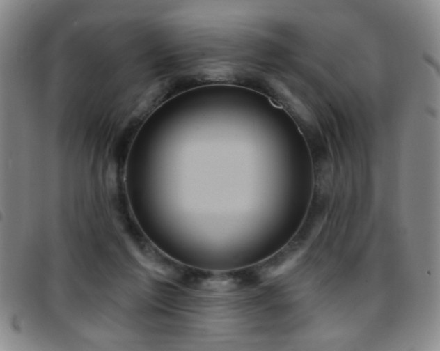 X0000097890213200803141340