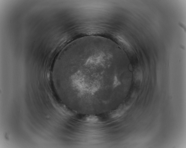 X0000097890214200803141340