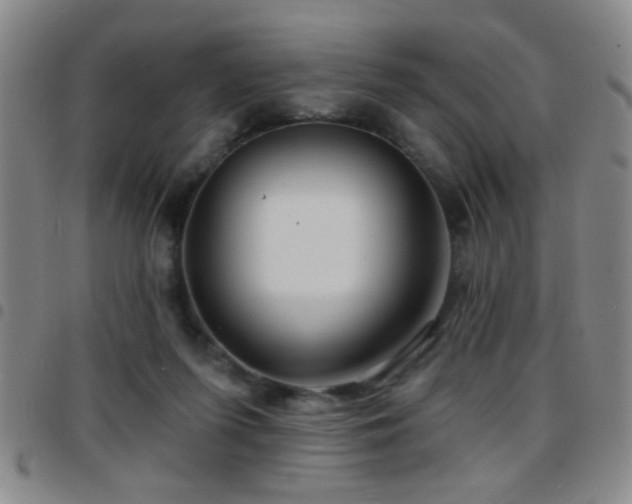 X0000097890215200803141340
