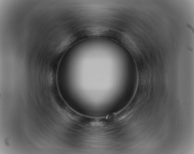 X0000097890216200803141340