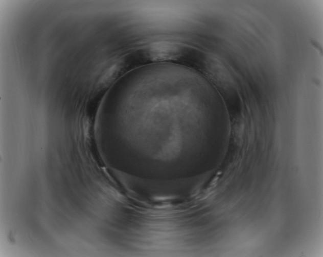 X0000097890219200803141340