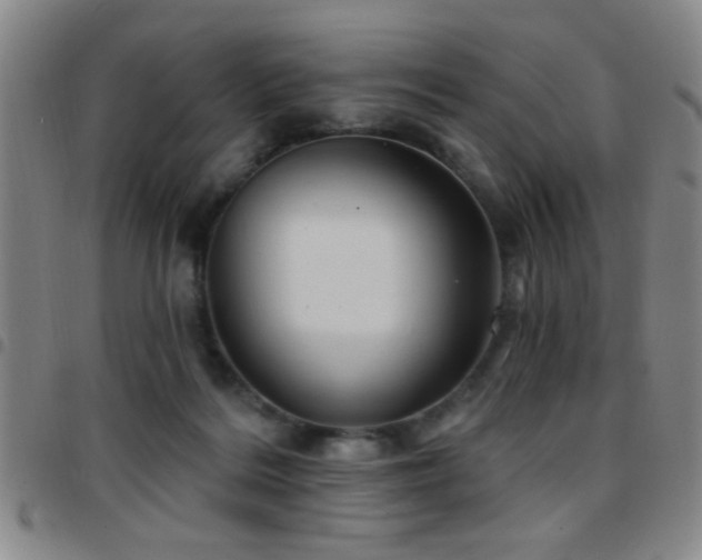 X0000097890220200803141340
