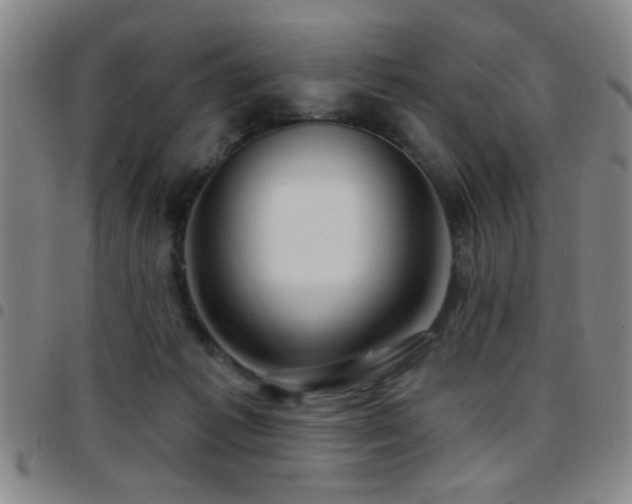 X0000097890221200803141340