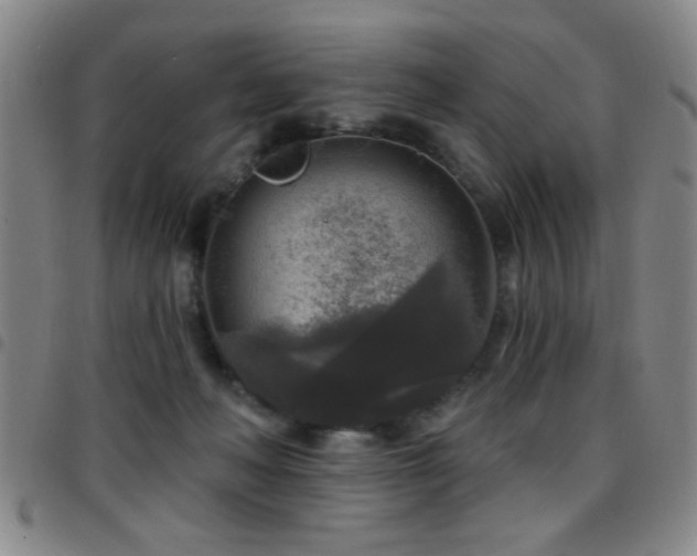 X0000097890222200803141340