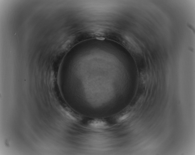 X0000097890223200803141340