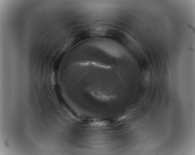 X0000097890224200803141340