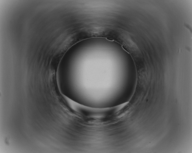 X0000097890225200803141340
