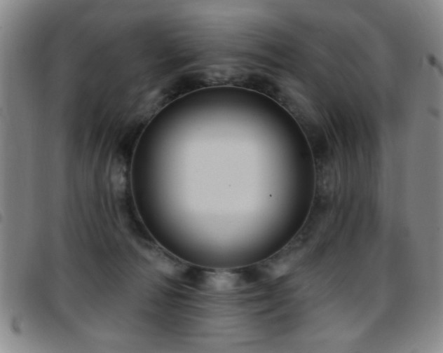 X0000097890226200803141340