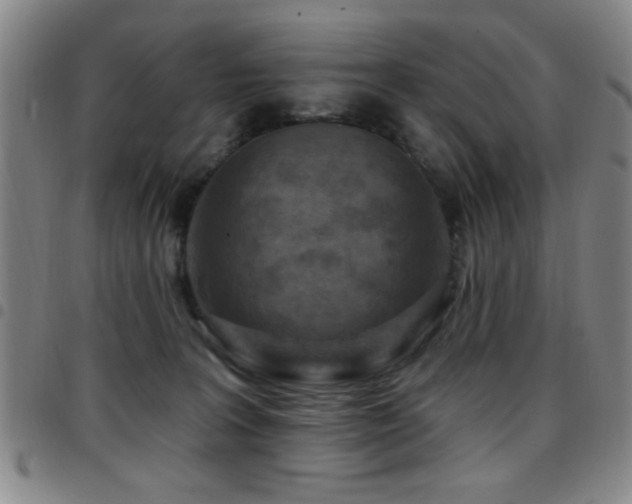 X0000097890227200803141340