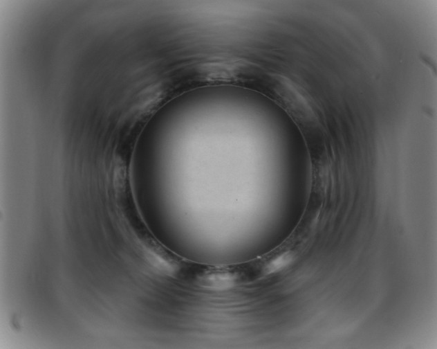 X0000097890228200803141340