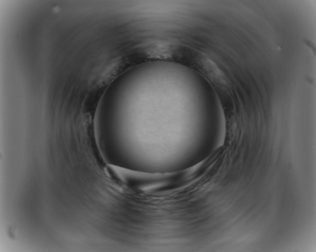 X0000097890229200803141340