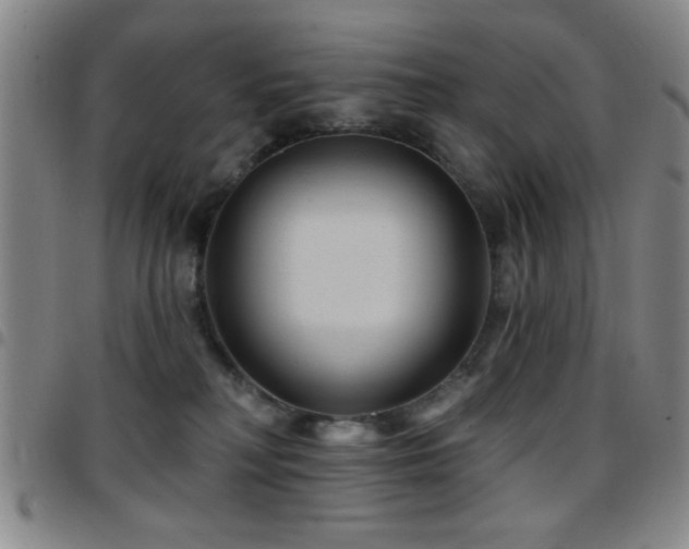 X0000097890230200803141340