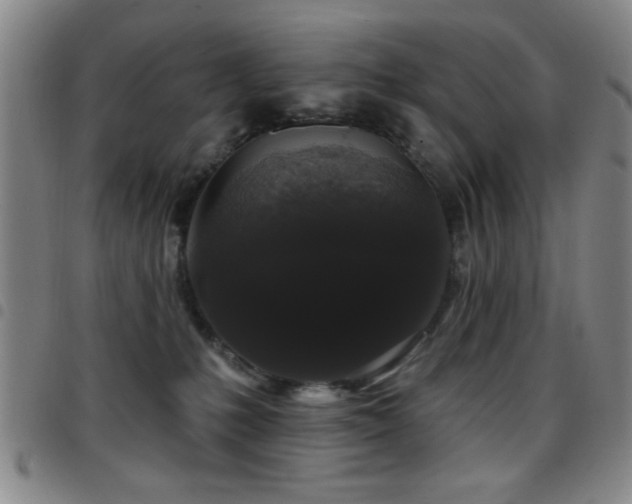 X0000097890231200803141340