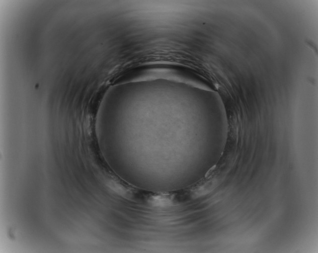 X0000097890232200803141340