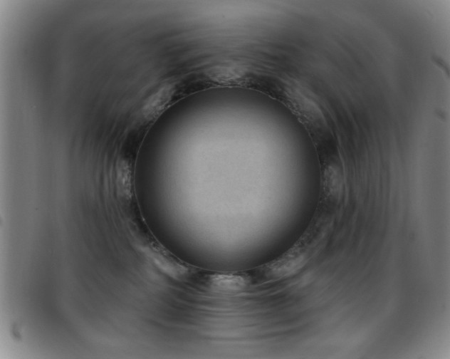 X0000097890234200803141340