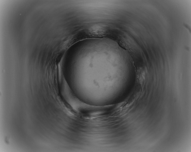 X0000097890235200803141340
