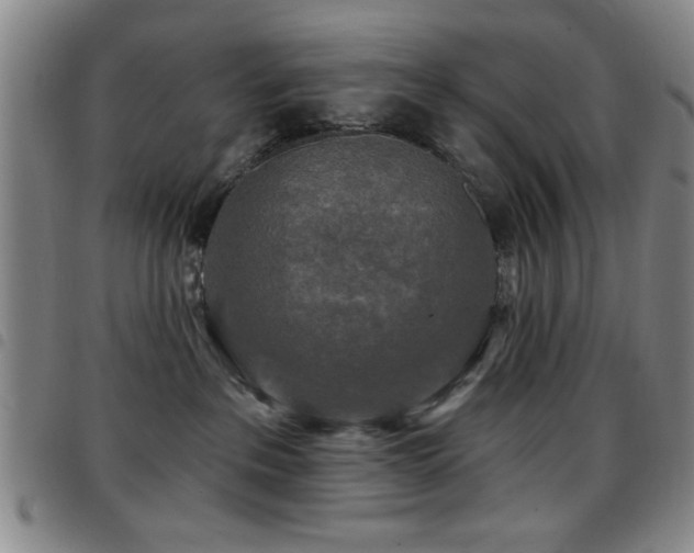 X0000097890237200803141340