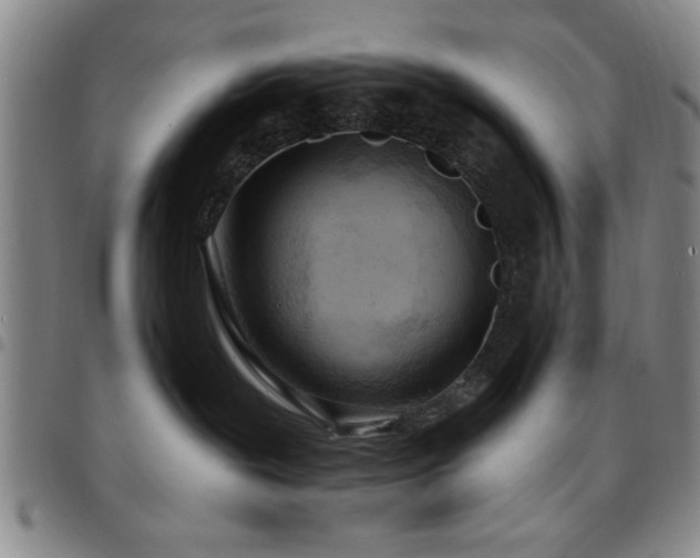 X0000097890239200803141340