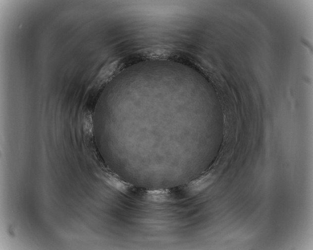 X0000097890240200803141340