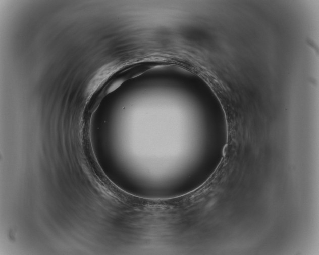 X0000097890242200803141339