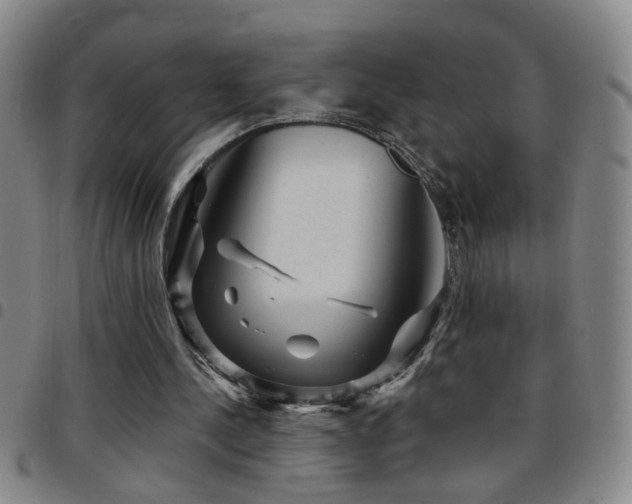X0000097890244200803141339