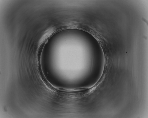 X0000097890245200803141339