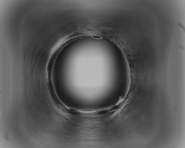 X0000097890246200803141339