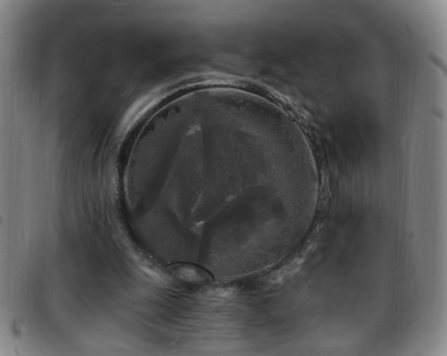X0000097890247200803141339