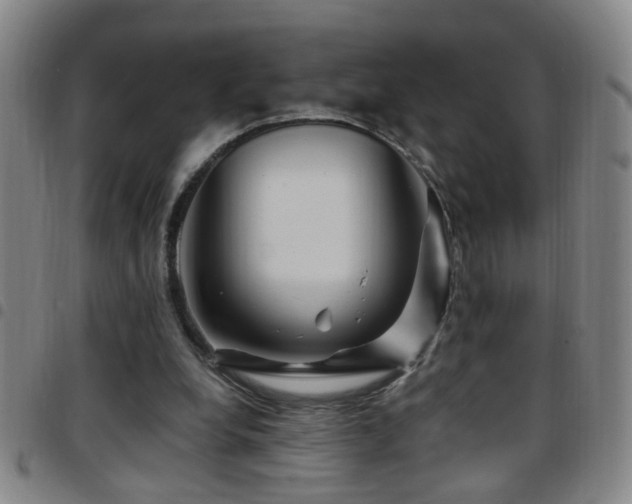 X0000097890248200803141339