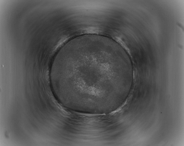 X0000097890249200803141339