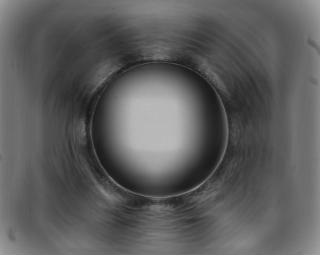 X0000097890251200803141339