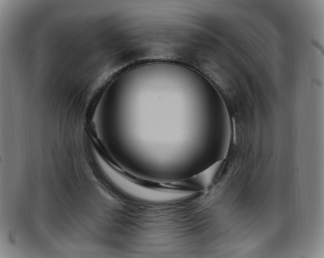 X0000097890252200803141339